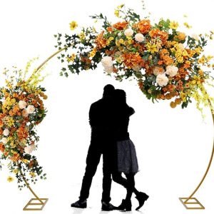 Round Arch Backdrop Stand (8.5 x 7.2 FT)